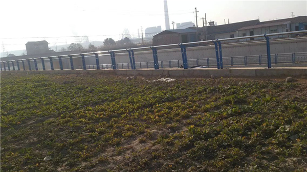 南京不锈钢河道护栏
